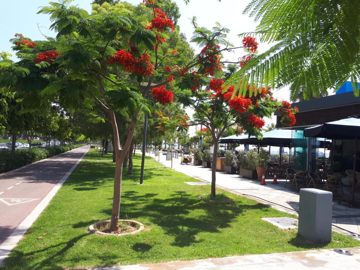 Sea Front & City Center, Amazing Sea View Limassol Zewnętrze zdjęcie